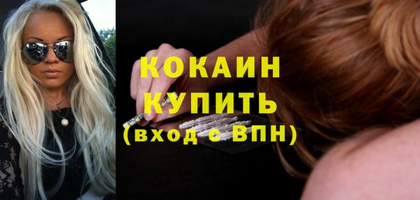сатива Бронницы