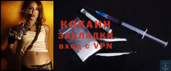 сатива Бронницы