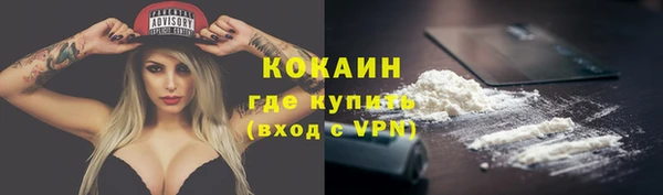 мескалин Бородино