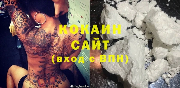 сатива Бронницы