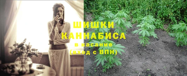 сатива Бронницы