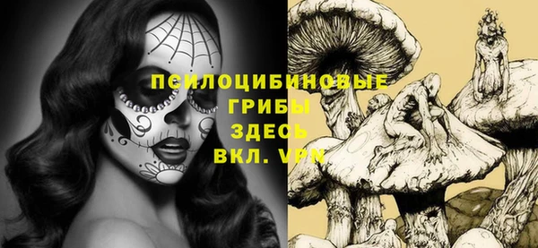 сатива Бронницы